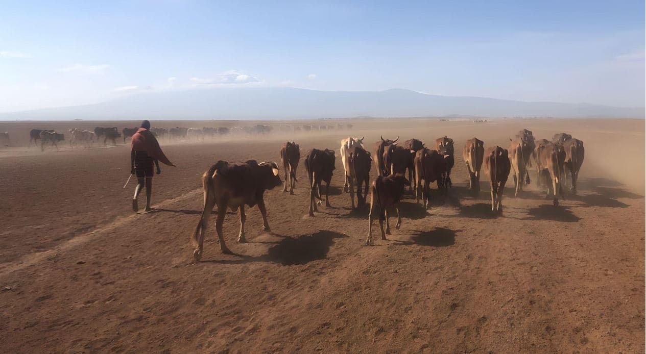 Amboseli Ecosystem